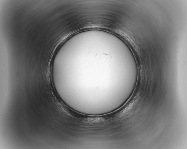 X0000096641129200802261252