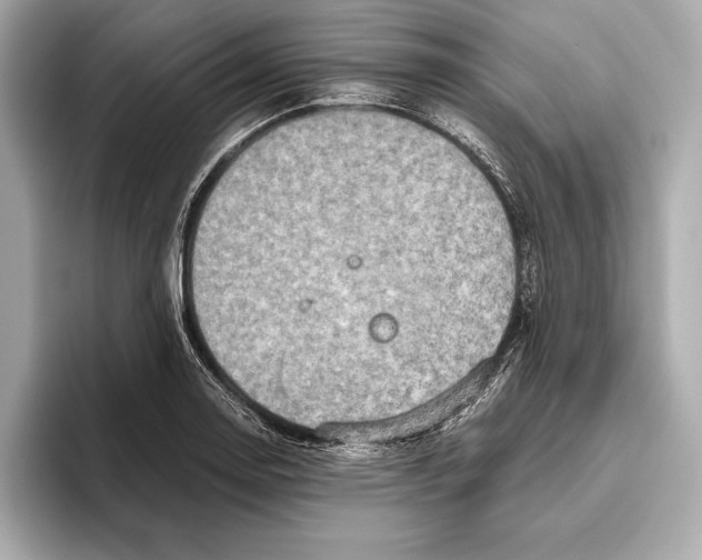 X0000096641130200802261252