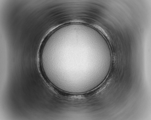 X0000096641133200802261252