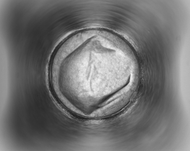 X0000096641134200802261252