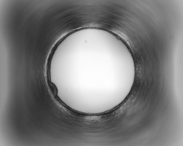 X0000096641135200802261252