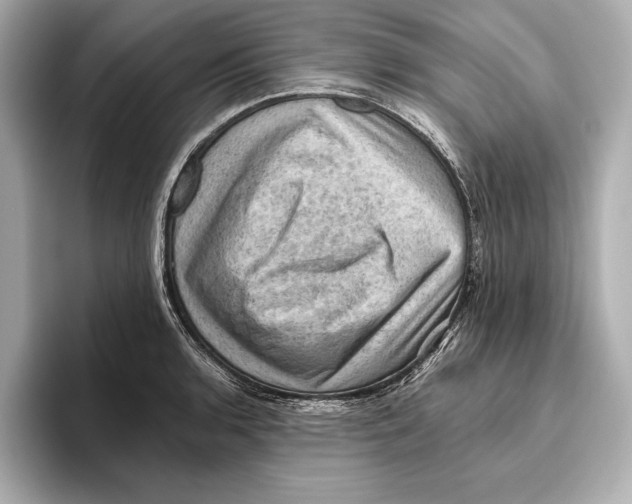 X0000096641136200802261252