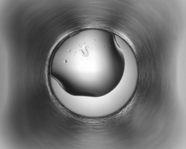 X0000096641138200802261252