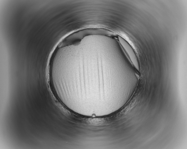 X0000096641140200802261252