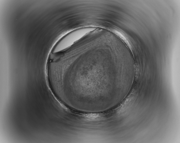 X0000096641141200802261252