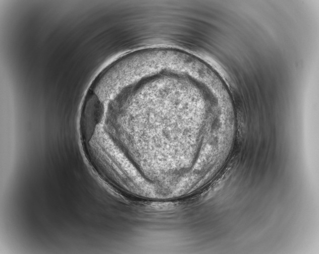 X0000096641142200802261252