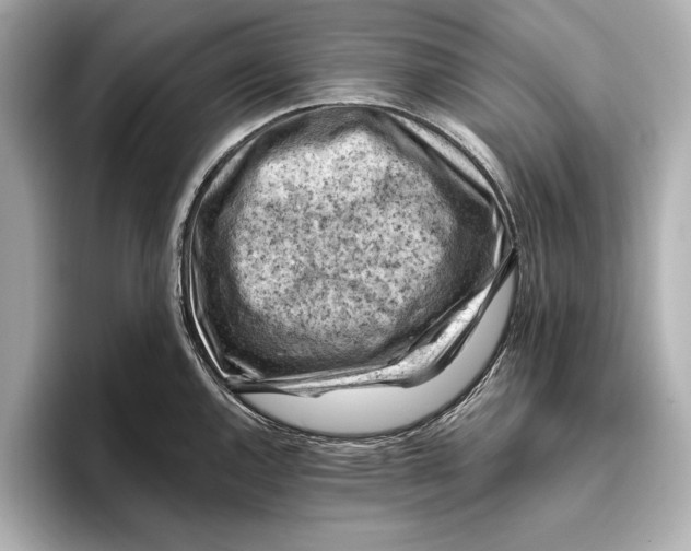 X0000096641144200802261252