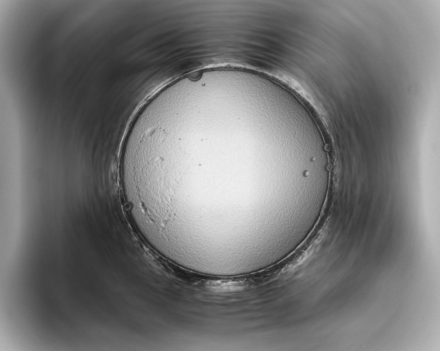 X0000096641145200802261252