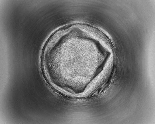 X0000096641148200802261252