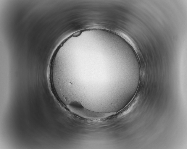 X0000096641149200802261252