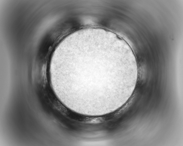 X0000096641150200802261252