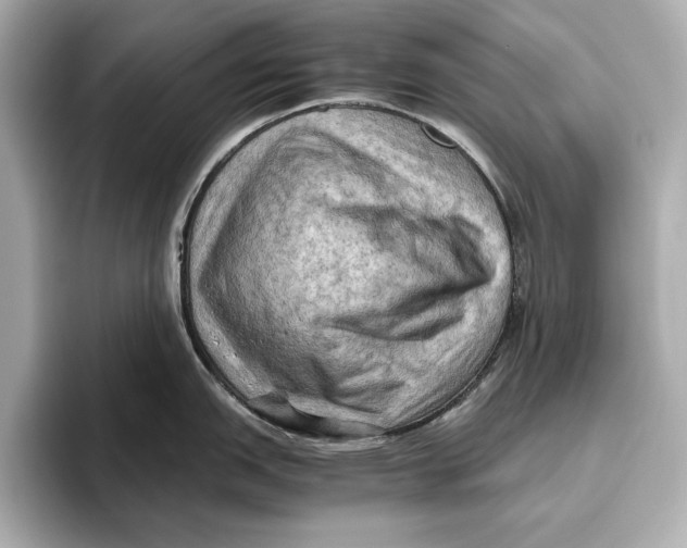 X0000096641151200802261252