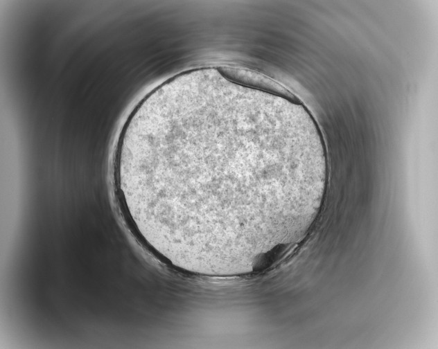 X0000096641152200802261252