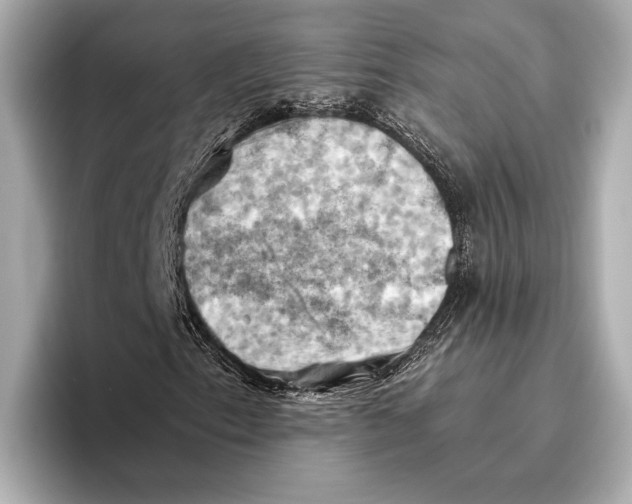 X0000096641153200802261251