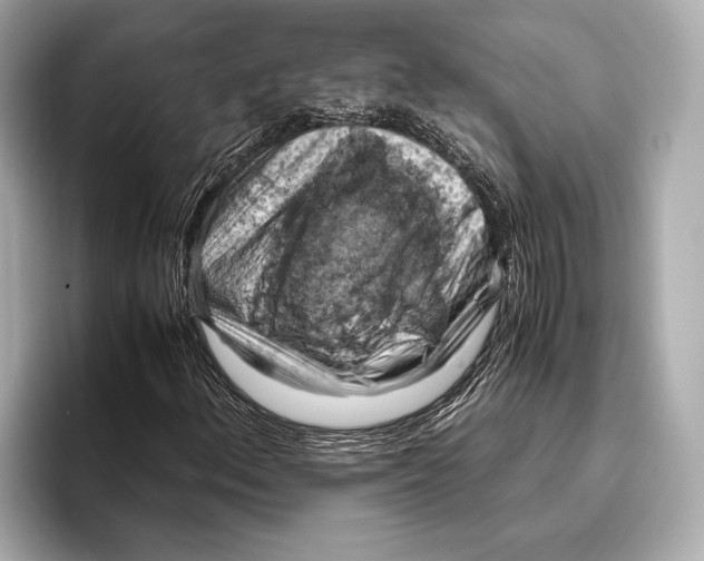 X0000096641156200802261251