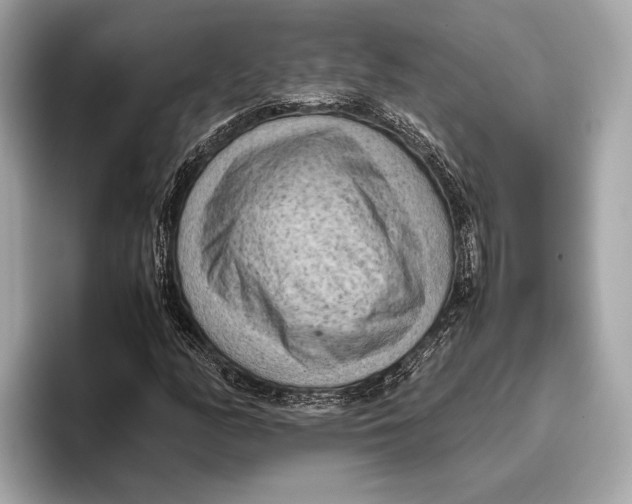 X0000096641158200802261251