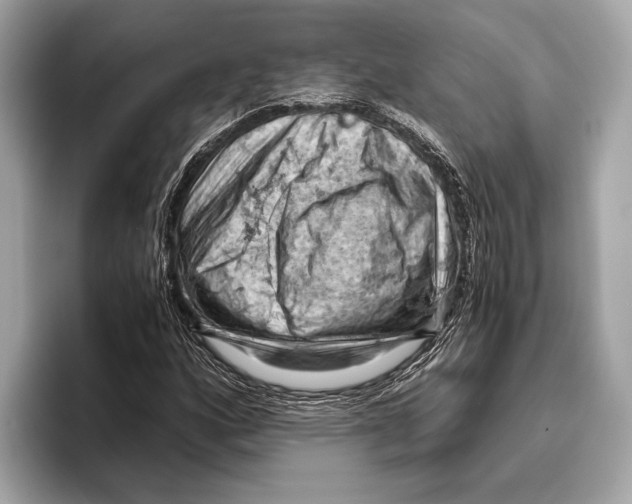 X0000096641160200802261251