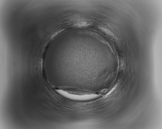 X0000096641161200802261251