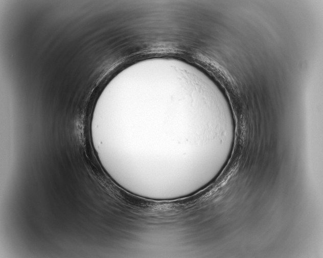 X0000096641162200802261251