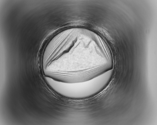 X0000096641164200802261251