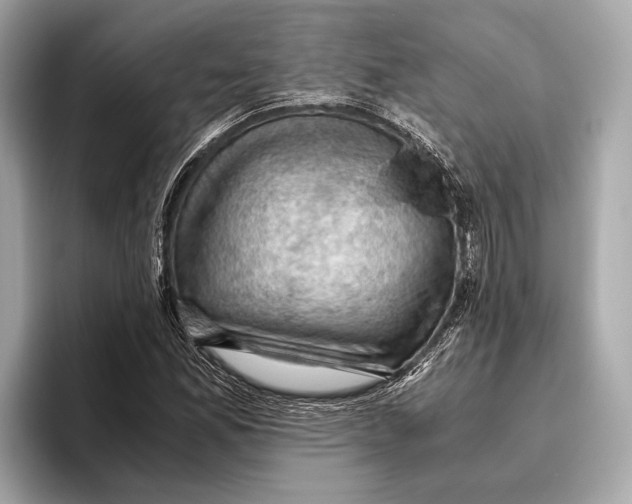 X0000096641165200802261251