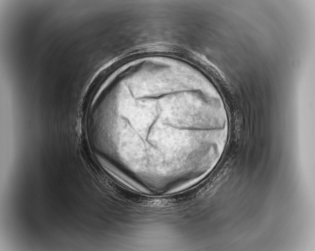 X0000096641166200802261251