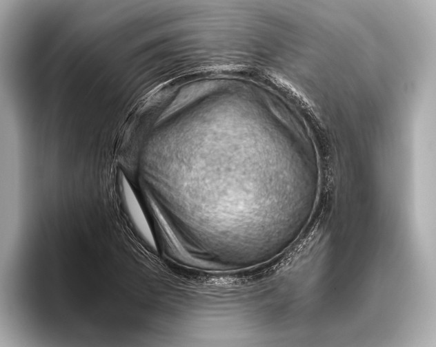 X0000096641169200802261251