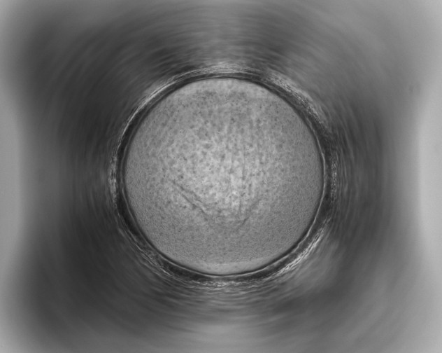 X0000096641170200802261251