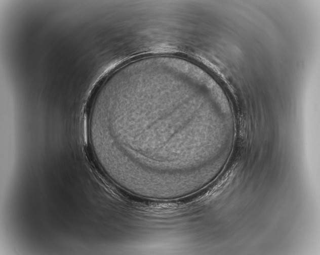 X0000096641171200802261251