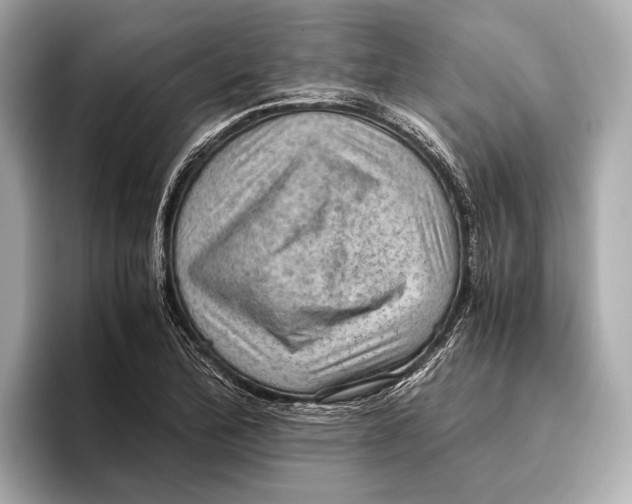 X0000096641172200802261251