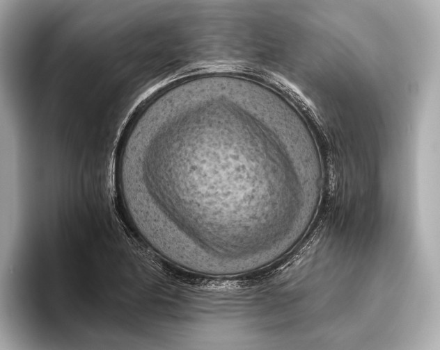 X0000096641174200802261251