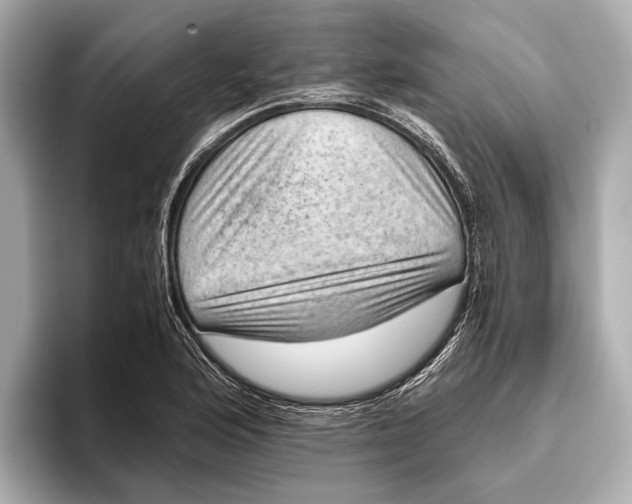 X0000096641176200802261251