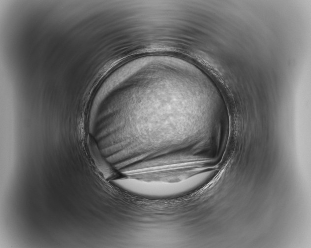 X0000096641177200802261251