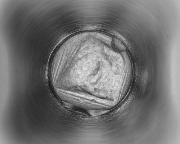 X0000096641178200802261251