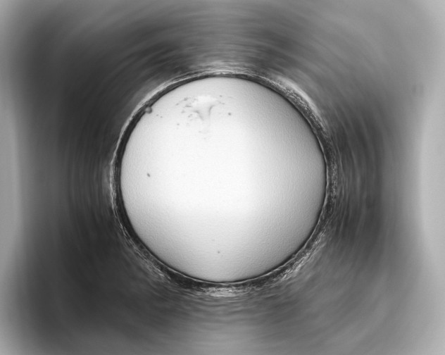 X0000096641182200802261251