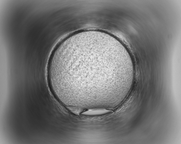 X0000096641183200802261251