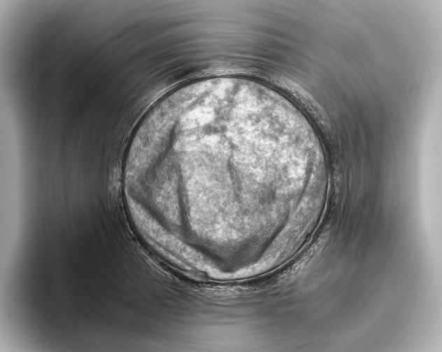 X0000096641185200802261251