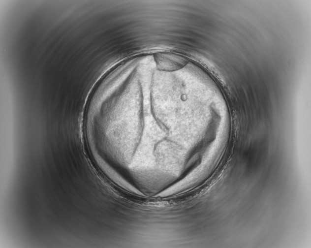 X0000096641186200802261251