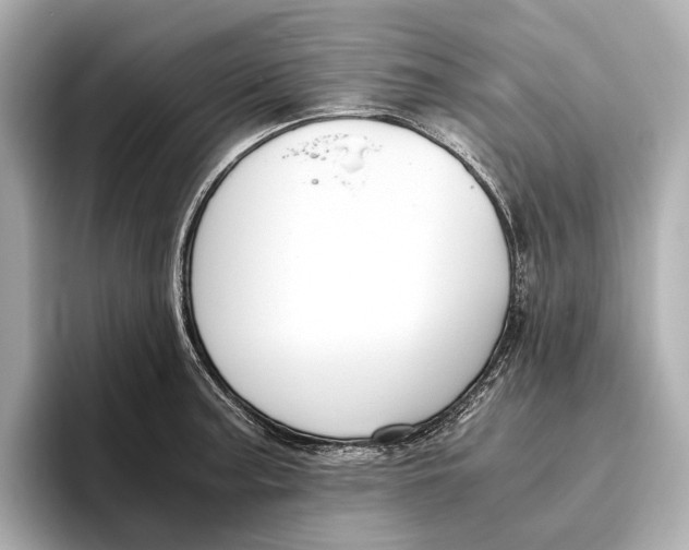 X0000096641187200802261251