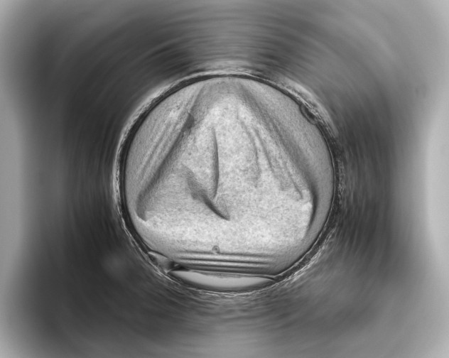 X0000096641188200802261251