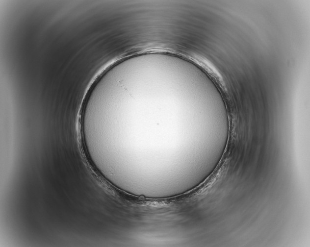 X0000096641190200802261251