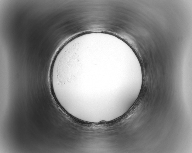 X0000096641191200802261251