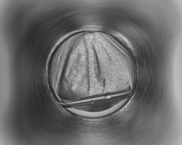 X0000096641192200802261251