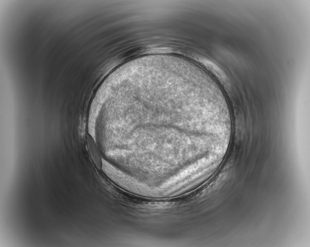 X0000096641193200802261251