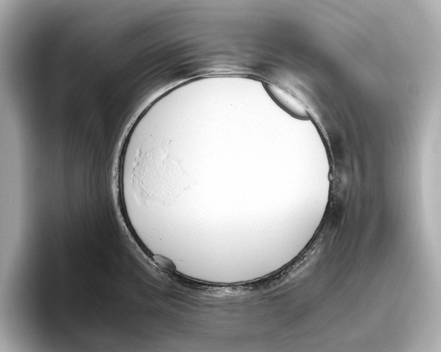 X0000096641195200802261251