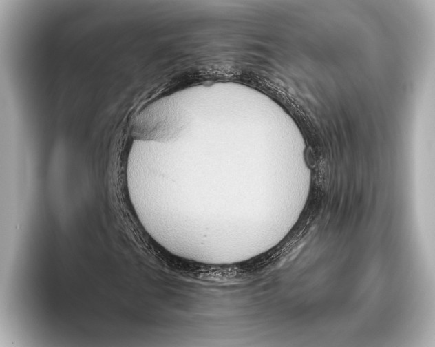 X0000096641201200802261250