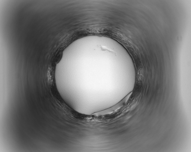 X0000096641202200802261250