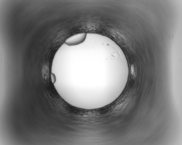 X0000096641203200802261250