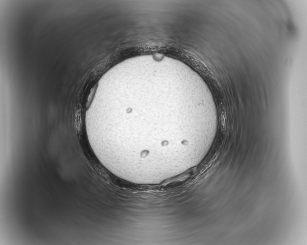 X0000096641204200802261250