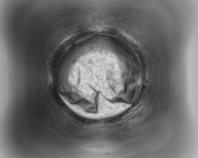 X0000096641206200802261250